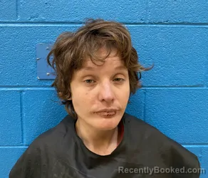Recent Mugshot Image for JESSICA LINDSAY HARRIS in McDowell County, North Carolina
