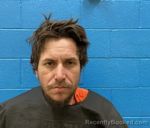 Recent Mugshot Image for LEVI JEDADIAH POLLYGUS in McDowell County, North Carolina