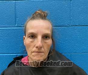 Recent Mugshot Image for CRISSY MULLINAX in McDowell County, North Carolina