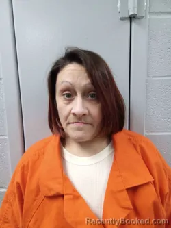 Recent Mugshot Image for NICOLE HILL in Logan County, Kentucky