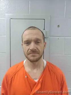 Recent Mugshot Image for MICHAEL SWEETSIR in Logan County, Kentucky
