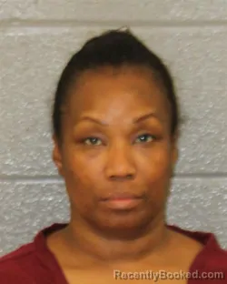Recent Mugshot Image for SHANITA MERIA NELSON in Mecklenburg County, North Carolina
