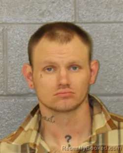 Recent Mugshot Image for MICHAEL DEVAN HAGANS in Mecklenburg County, North Carolina