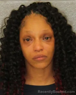 Recent Mugshot Image for FENNETTA NIKKOL WILLIAMS in Mecklenburg County, North Carolina
