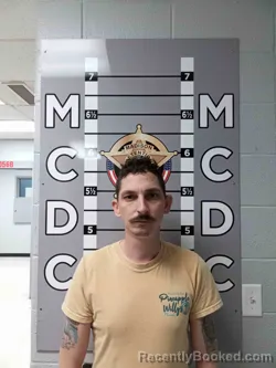 Recent Mugshot Image for GEORGE WEDDINGTON in Madison County, Kentucky