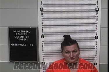 Recent Mugshot Image for THERESA LOUISE BROWN in Muhlenberg County, Kentucky
