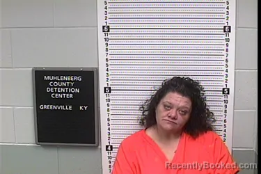 Recent Mugshot Image for SHANNON NICOLE SOWDER in Muhlenberg County, Kentucky