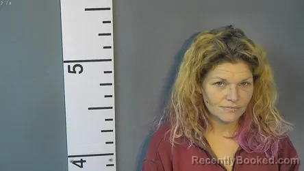 Recent Mugshot Image for JILLIAN TERESA LYON in Nelson County, Kentucky