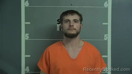 Recent Mugshot Image for AARON D CALLOWAY in Ohio County, Kentucky