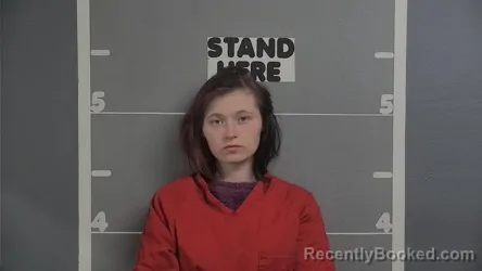 Recent Mugshot Image for JESSICA MARIE BROWN in Ohio County, Kentucky