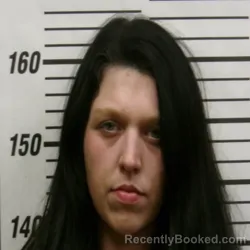 Recent Mugshot Image for TAYLOR RENEE LAMBERT in Montgomery County, North Carolina