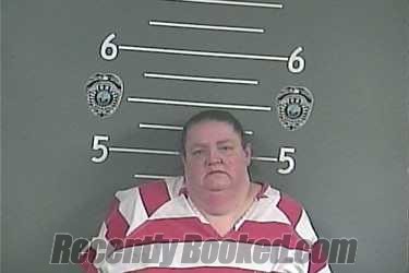 Recent Mugshot Image for REBECCA L ANDERSON in Pike County, Kentucky