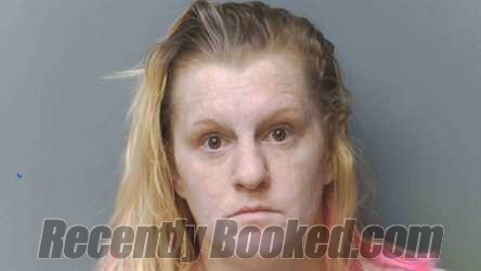 Recent Mugshot Image for KYLIE ALLISON in Simpson County, Kentucky