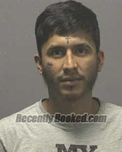 Recent Mugshot Image for LIS SALMERON BUSTILLO in New Hanover County, North Carolina