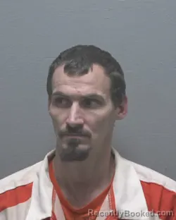 Recent Mugshot Image for TIMOTHY THOMAS RYAN in New Hanover County, North Carolina