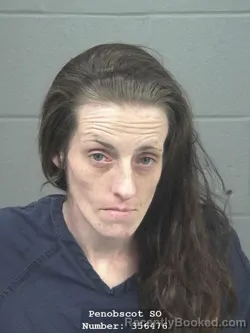 Recent Mugshot Image for SHANNON M YOUNG in Penobscot County, Maine