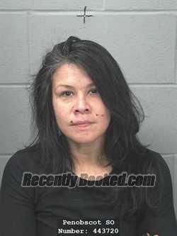 Recent Mugshot Image for JESSI LYNN POLCHIES in Penobscot County, Maine