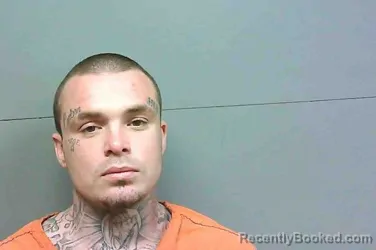 Recent Mugshot Image for CLYDE DILLON MCDANIEL in Franklin County, Florida