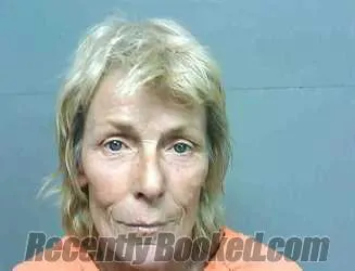 Recent Mugshot Image for MARY RUTH WETZEL in Franklin County, Florida