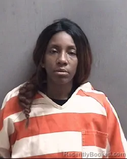 Recent Mugshot Image for MELISSA LYNETTE BURROUGHS in Pasquotank County, North Carolina