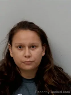 Recent Mugshot Image for Teeple Debbie Rae in Chippewa County, Michigan