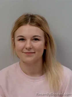 Recent Mugshot Image for Sullivan Taylor Reece in Chippewa County, Michigan