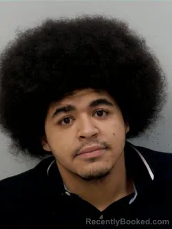 Recent Mugshot Image for Engle Daneilius Joseph in Chippewa County, Michigan