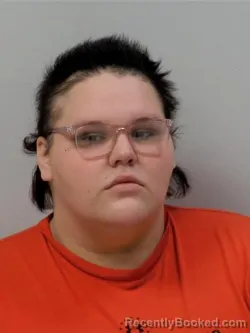 Recent Mugshot Image for Brown Josie Janea in Chippewa County, Michigan