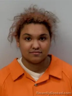 Recent Mugshot Image for Stovall Breonna Nicole in Chippewa County, Michigan