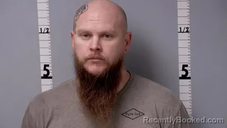 Recent Mugshot Image for KANG RAY-MICHAEL JOHNSON in Gratiot County, Michigan