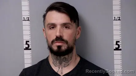 Recent Mugshot Image for SHAWN EDWARD BILKOVSKY in Gratiot County, Michigan