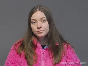 Recent Mugshot Image for ALYSSA MARIE LAMPELA in Houghton County, Michigan