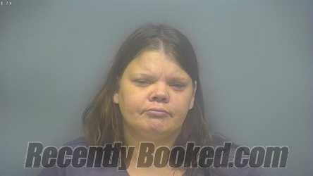 Recent Mugshot Image for ERICA DANIELL TUCHOLSKI in Isabella County, Michigan