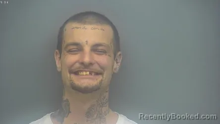 Recent Mugshot Image for JAMES GARRETT SWINDLEHURST in Isabella County, Michigan