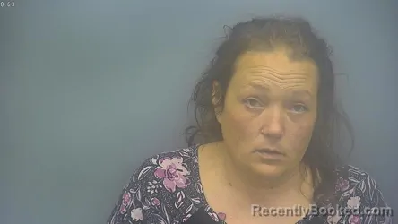 Recent Mugshot Image for KRYSTLE ANN LAFAVE in Isabella County, Michigan