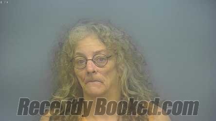 Recent Mugshot Image for MARIE EILEEN DAVENPORT in Isabella County, Michigan