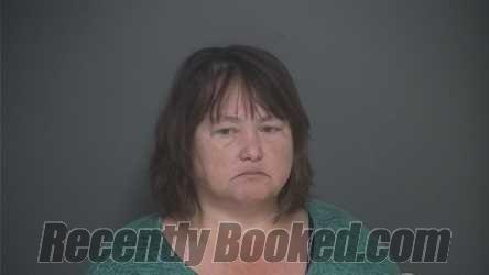 Recent Mugshot Image for ELIZABETH LEES in Lapeer County, Michigan