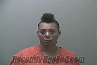 Recent Mugshot Image for ELIZABETH MARIE-SCHMIDT HAYS in Midland County, Michigan