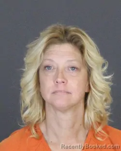 Recent Mugshot Image for BARBARA JANE LONERGAN in St Clair County, Michigan