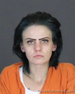 Recent Mugshot Image for KATHERINE LOUISE ANDREWS in St Clair County, Michigan