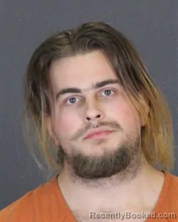 Recent Mugshot Image for DOMINICK ALEXANDER BELL in St Clair County, Michigan