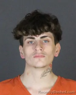 Recent Mugshot Image for DAMON RAY LARIME in St Clair County, Michigan