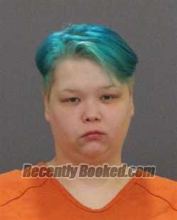 Recent Mugshot Image for KAYLEE ANN BROWN in St Clair County, Michigan