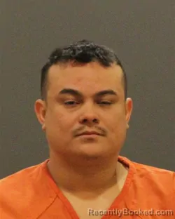 Recent Mugshot Image for AMIN VIDES MEZA in St Clair County, Michigan