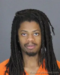 Recent Mugshot Image for ERIC FINCH in St Clair County, Michigan