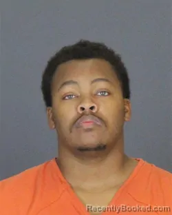 Recent Mugshot Image for DAVID CHRISTOPHER DAVIS in St Clair County, Michigan