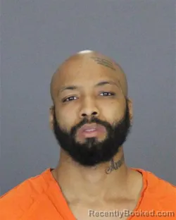 Recent Mugshot Image for DARYLL GRAY in St Clair County, Michigan
