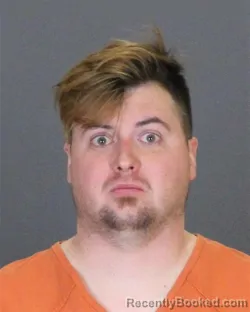 Recent Mugshot Image for STEVEN LEE FRIEDLAND in St Clair County, Michigan