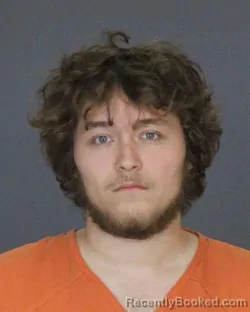 Recent Mugshot Image for KOEDEN WILLIAM PALMER in St Clair County, Michigan