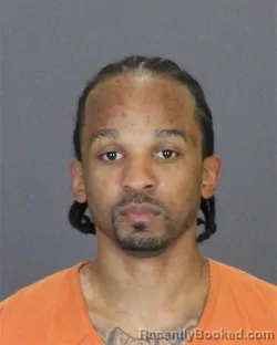 Recent Mugshot Image for MICHAEL JOHNSON in St Clair County, Michigan